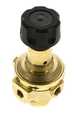 Pressure Regulator G1/4'' 490 l/min 2.0-30.0bar/29-435psi Brass Gases Liquids