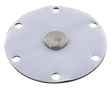Replacement Diaphragm Gases and Liquids PTFE/NBR 1'' Stainless Steel