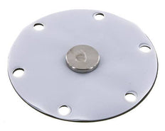 Replacement Diaphragm Gases and Liquids PTFE/NBR 1'' Stainless Steel