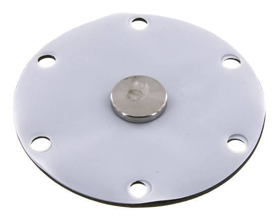 Replacement Diaphragm Gases and Liquids PTFE/NBR 1'' Stainless Steel