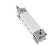 ISO 15552 Double Acting Cylinder 40-100mm - Damping
