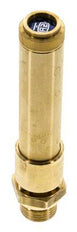 G 1/2'' Brass Pre-Set Safety Valve 45 bar (652.68 psi) DN 10