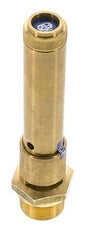G 3/4'' Brass Pre-Set Safety Valve 46 bar (667.18 psi) DN 10