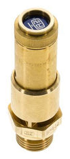 G 1/2'' Brass Pre-Set Safety Valve 6 bar (87.02 psi) DN 10