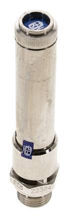 G 1/2'' Nickel-plated Brass Pre-Set Safety Valve 46 bar (667.18 psi) DN 10