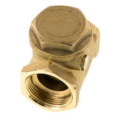 G 1-1/4'' Brass Swing Check Valve 10 bar (145 psi) NBR Soft Seal