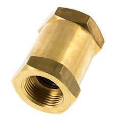 G 1'' Female Threaded Brass Check Valve 0.1-40 bar (1.45-580 psi)