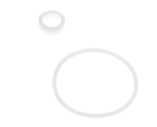 1" PTFE Strainer Seal Kit 0.8mm Mesh [2 Pieces]