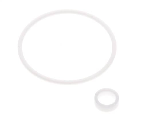 1-1/4" PTFE Strainer Seal Kit 0.8mm Mesh DIN 3202-M8 [2 Pieces]