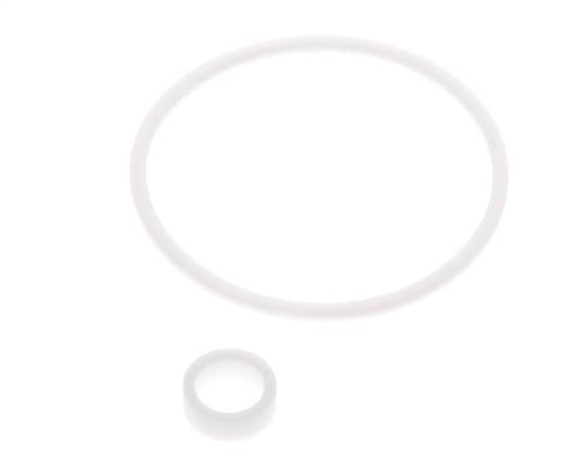1-1/4" PTFE Strainer Seal Kit 0.8mm Mesh DIN 3202-M8 [2 Pieces]