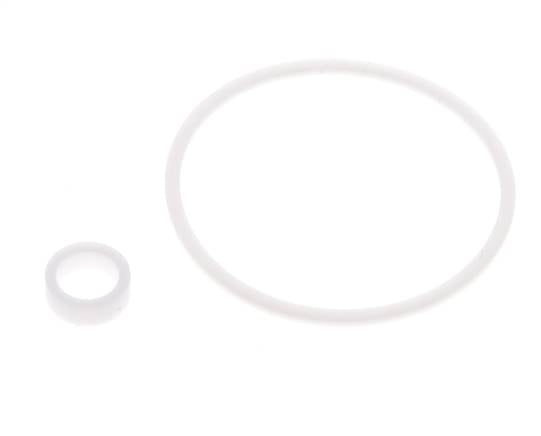 1-1/4" PTFE Strainer Seal Kit 0.8mm Mesh DIN 3202-M8 [2 Pieces]