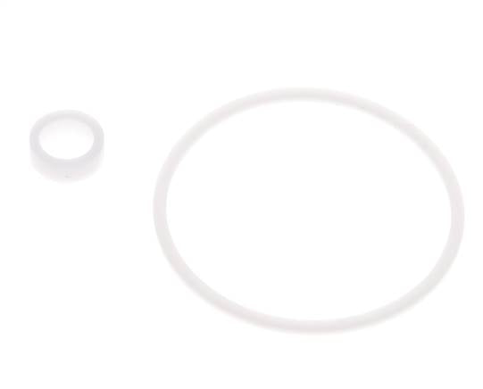 1-1/4" PTFE Strainer Seal Kit 0.8mm Mesh DIN 3202-M8 [2 Pieces]