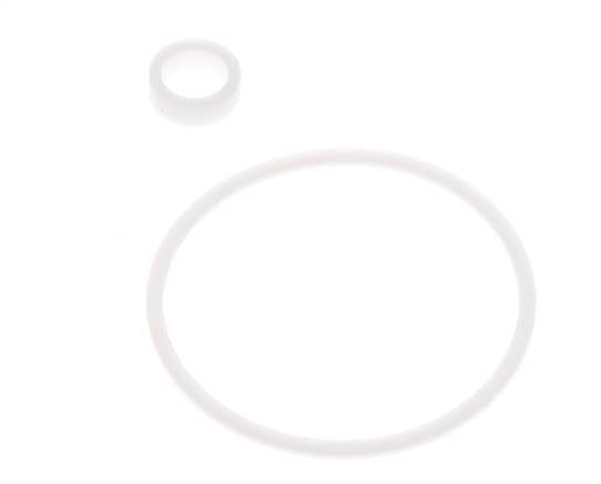 1-1/4" PTFE Strainer Seal Kit 0.8mm Mesh DIN 3202-M8 [2 Pieces]