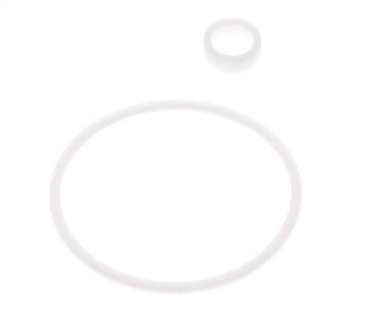 1-1/4" PTFE Strainer Seal Kit 0.8mm Mesh DIN 3202-M8 [2 Pieces]
