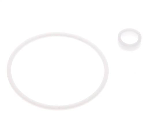 1-1/4" PTFE Strainer Seal Kit 0.8mm Mesh DIN 3202-M8 [2 Pieces]