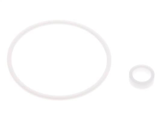 1-1/4" PTFE Strainer Seal Kit 0.8mm Mesh DIN 3202-M8 [2 Pieces]