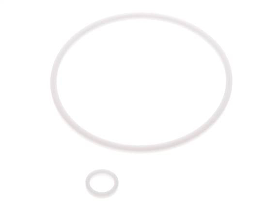 2" PTFE Strainer Seal Kit