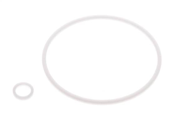 2" PTFE Strainer Seal Kit