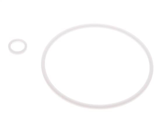 2" PTFE Strainer Seal Kit
