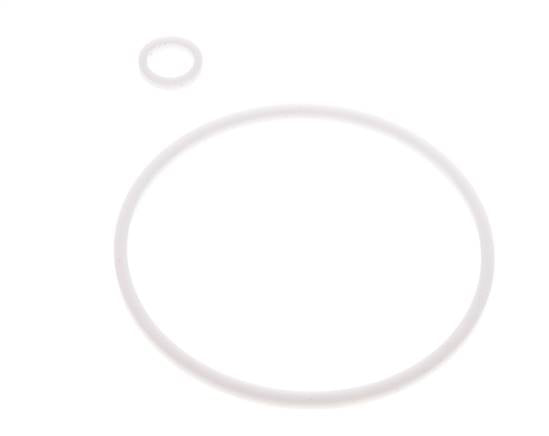 2" PTFE Strainer Seal Kit