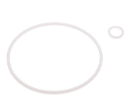 2" PTFE Strainer Seal Kit