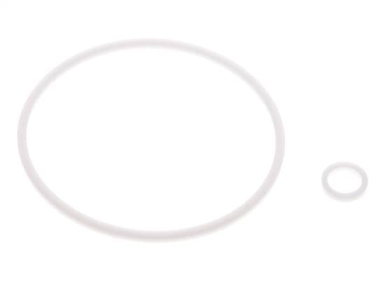 2" PTFE Strainer Seal Kit