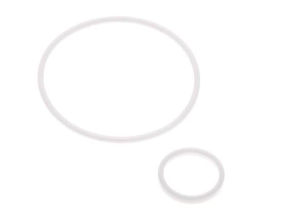 2" PTFE Strainer Seal Kit 1.0mm Mesh