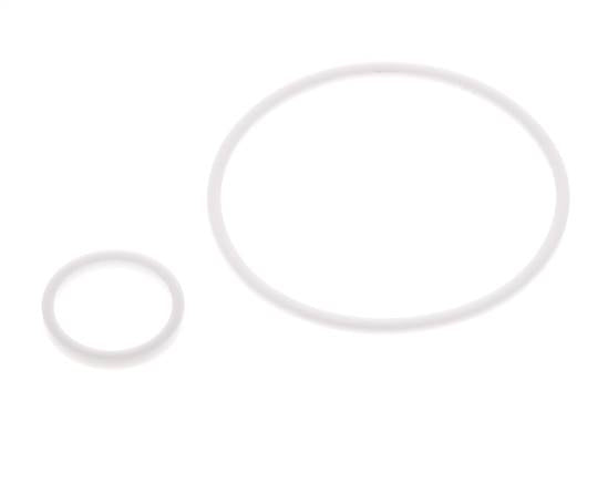2" PTFE Strainer Seal Kit 1.0mm Mesh