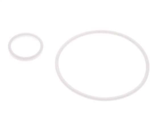 2" PTFE Strainer Seal Kit 1.0mm Mesh