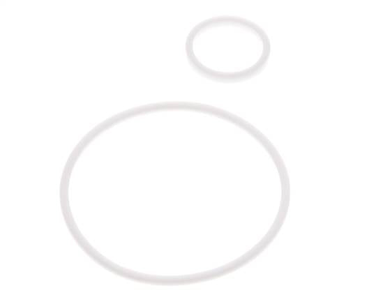 2" PTFE Strainer Seal Kit 1.0mm Mesh