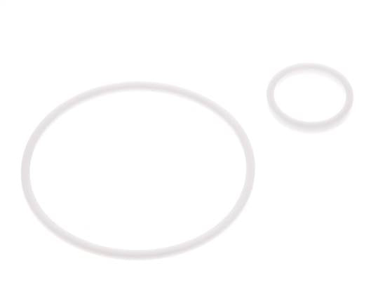 2" PTFE Strainer Seal Kit 1.0mm Mesh