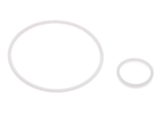 2" PTFE Strainer Seal Kit 1.0mm Mesh