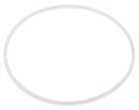 3" PTFE Strainer Seal Kit 1.0mm Mesh