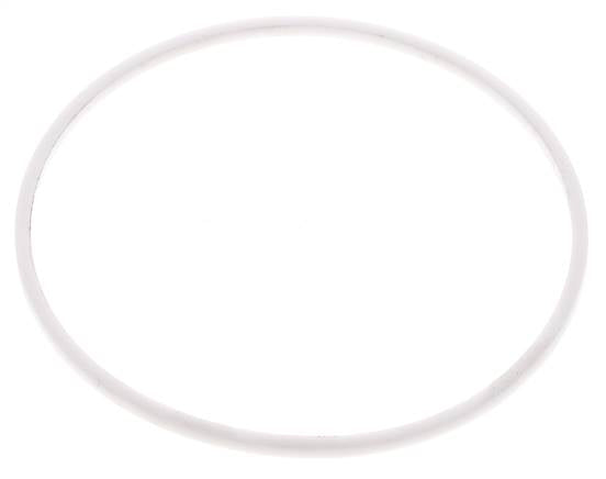 2-1/2" PTFE Strainer Seal Kit 1.0mm Mesh