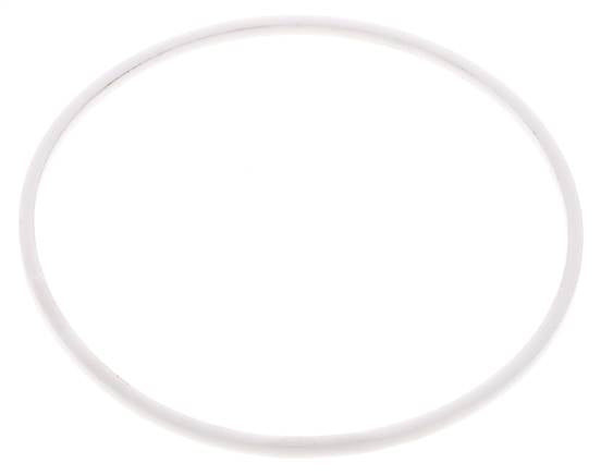 2-1/2" PTFE Strainer Seal Kit 1.0mm Mesh
