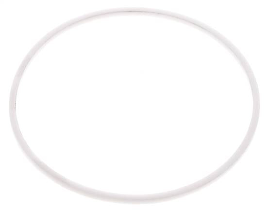 2-1/2" PTFE Strainer Seal Kit 1.0mm Mesh