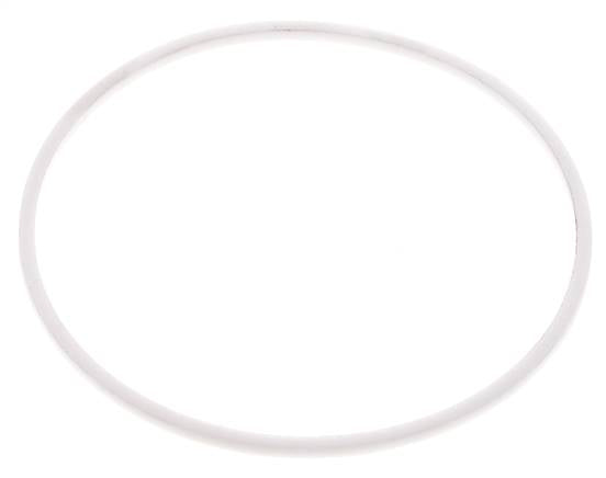 2-1/2" PTFE Strainer Seal Kit 1.0mm Mesh