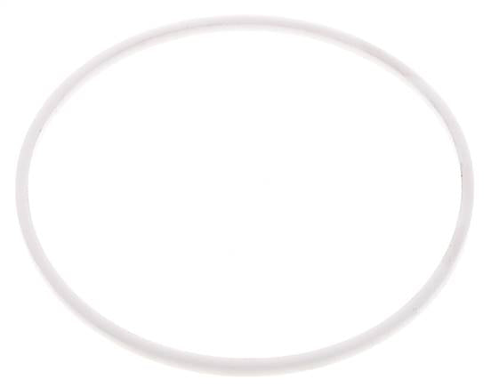 3" PTFE Strainer Seal Kit 1.0mm Mesh